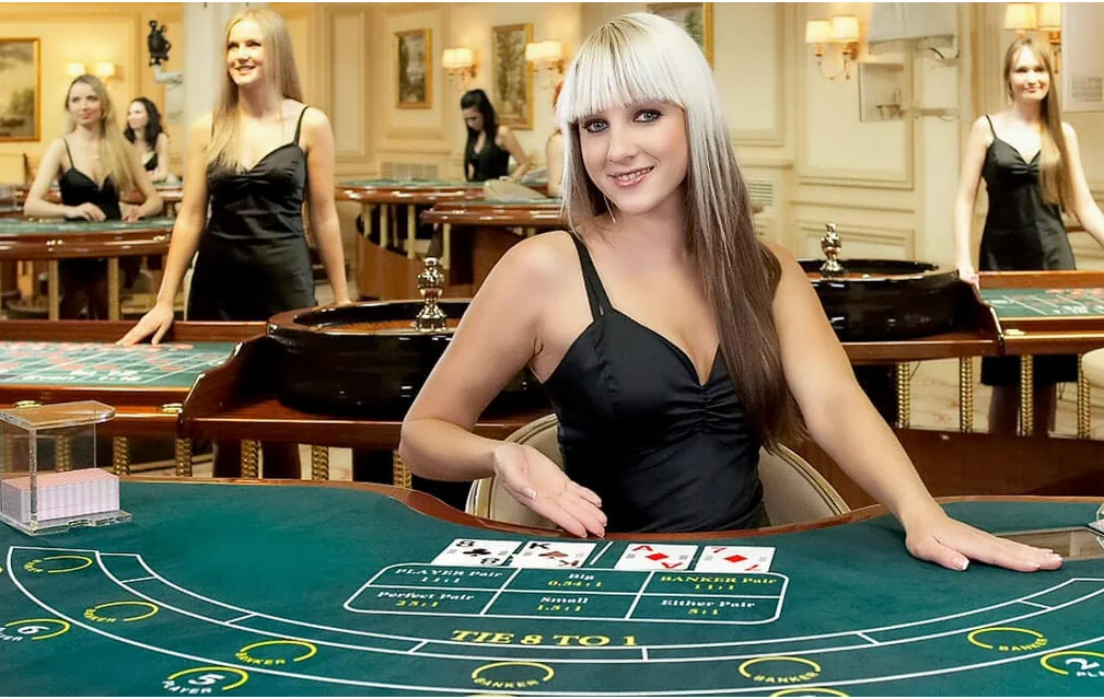 Meja dealer langsung untuk pengalaman kasino live EVOSTOTO